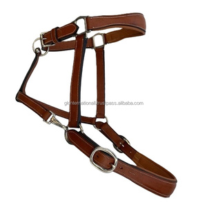 2025 Top qualité vente chaude équitation équestre personnalisé en gros en cuir véritable cheval licou en plein cob surdimensionné - Product Image 2