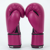 Lüks Boks Eldivenleri Premium Kalite Sparring ve Antrenman Ekipmanları Özel Logo OEM Hizmeti OEM Boyut Üreticisi Tedarikçi