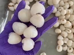 Litchis surgelés naturels de qualité export du Vietnam en vrac - Product Image 2