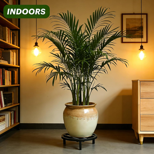 Supporto Rotondo Rialzato in Metallo <span class=keywords><strong>per</strong></span> <span class=keywords><strong>Vasi</strong></span> <span class=keywords><strong>di</strong></span> <span class=keywords><strong>Fiori</strong></span> - Espositore da Giardino Contemporaneo con Doghe <span class=keywords><strong>per</strong></span> Decorazioni Vegetali da Interno ed Esterno - Product Image 4