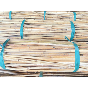 Varas de Ratán, Cañas de Ratán, Distribución al por Mayor con Precio Competitivo, Cañas de Ratán Seleccionadas para Artesanía - Product Image 2