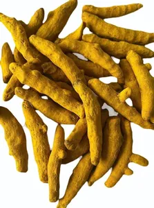 Curcuma sec de Salem de qualité supérieure, provenant du Tamil Nadu, durée de conservation de 24 mois - Product Image 4