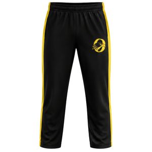Men's Black Yellow Sublimation Cricket Set Jersey and Pants Short Sleeve <b>Athletic</b> Uniform Team Training Wear Sports Apparel - Product Image 4
