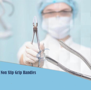Pince orthodontique dentaire en acier inoxydable, forceps, pince à nez, lèvres, oreilles, pince de corps pour clinique vétérinaire et dentaire - Product Image 2