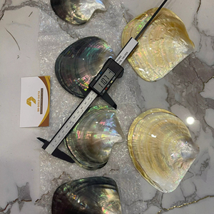 Vietnam Handmade Mother of Pearl Plate Natural Shell Material for Jewelry Tray Serving <b>Display</b> <b>Table</b> Decor Use - Product Image 1