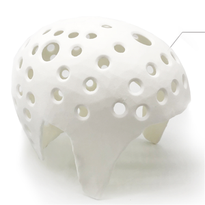 <span class=keywords><strong>Service</strong></span> d'impression 3D de modèles médicaux à haute résolution, stables et dédiés à l'éducation médicale - Product Image 1