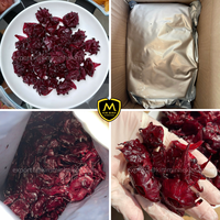 Premium Gedroogde Hibiscus Bloemen _ Natuurlijke Groothandelsvoorraad voor Importeurs