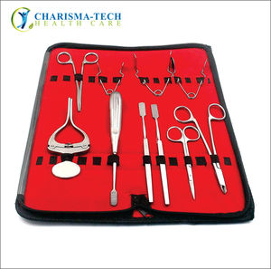 Kit de Cuidado Dental para Roedores y Animales Pequeños, Dientes Molares e Incisivos, para Conejos, Chinchillas, Gerbillas, Cobayas, Instrumentos Manuales de Acero, CE - Product Image 1