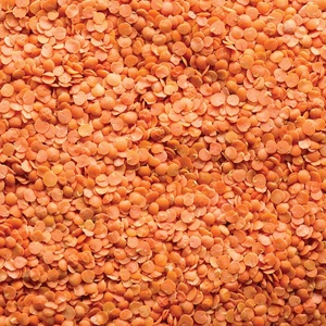 Lentejas Rojas Holandesas Secas al por Mayor de Alta Calidad, a Granel, 25 kg, 2 Años de Vida Útil, Grado Alimenticio, Disponibles a Bajo Precio - Product Image 5