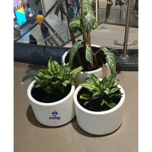 2026 FIBRECRAFTS Square Floor Durable Fibre Glass PE Coated Modern Stylish Outdoor Decorative <b>Flower</b> Pots Planters - Product Image 6