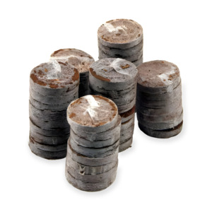 Graines de croissance, sol de noix de coco, pépite de coco biologique, granulés de noix de coco comprimée, bouchons de coco - Product Image 6
