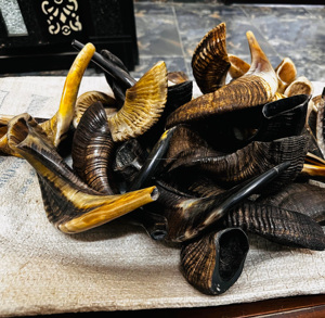 Shofar yemenita hecho a mano de alta calidad, cuerno Natural que sopla Rosh Hashanah Kosher Kudu Ram Horn, shofars ecológicos - Product Image 4