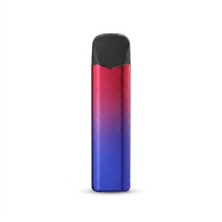 Kit Chicha Électrique Personnalisé Direct Usine avec Briquet Électronique Rechargeable USB, Accessoires de Fête Portables pour Fumeurs de Tabac
