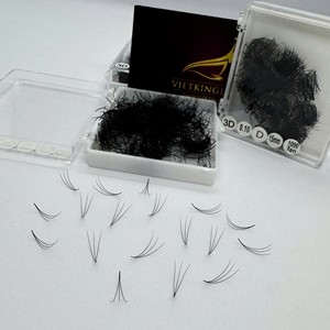 Extensiones de Pestañas Pre-Enlazadas con Tecnología Heat Bonded, Fans Sueltos 3D 4D 6D 8D 0.07 0.10 Curvatura CC/DD/M/L, Seda Sintética Efecto Visón, Logotipo Personalizado - Product Image 1