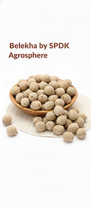 วัตถุดิบเสริมอาหารย่อยอาหาร เบห์ดา (เทอร์มินาลีอา เบลลิริกา) - Product Image 4