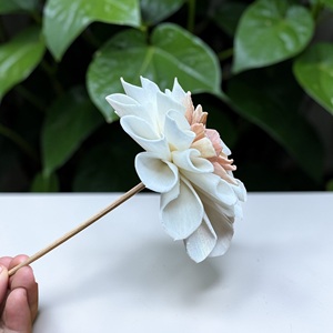 ดอกไม้ไม้โซล่า ยี่ห้อ VADEE SOLA WOOD FLOWER ทำมือ  ดอกดาเลียสีพีชครีม  ขนาด 8.5 ซม.  แกนไฟเบอร์เซสบานียา - Product Image 5