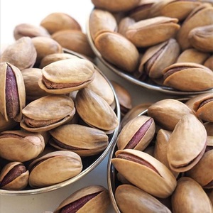 Pistachos Orgánicos Naturales Premium con Cáscara, Venta al por Mayor, Bolsas a Granel de 10Kg y 20Kg, Alta Calidad, Sin OMG, Núcleo Blanqueado, Dulces y Secos - Product Image 4
