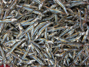 Anchoas Secas Naturales Premium 100% de Vietnam, 12+ Meses de Vida Útil, Lugar Fresco y Seco, Listas para Usar, Venta al por Mayor, Exportación - Product Image 3