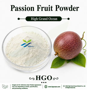 Poudre de fruit de la passion pure et naturelle (qualité alimentaire) HGO, séchée par pulvérisation ou lyophilisée, fournie directement par l'usine - Product Image 1