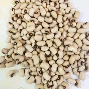 Guisantes negros premium con excelente contenido proteico y frescura naturalmente conservada para consumo alimentario - Product Image 3