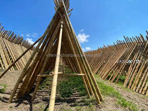 Vifarmex Strong <b>Bamboo</b> Poles | Direct from Vietnam Factory | Exporter & Wholesale Manufacturer - Product Image 6