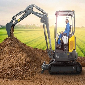 Mini-excavatrice Hyundai abordable avec hydraulique puissante, fonctionnement stable et performances pratiques sur divers chantiers - Product Image 3