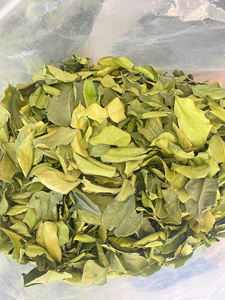 Aromatic <b>Dried</b> Kaffir <b>Lime</b> Leaves for Restaurant Supply Catering Menus and Spice Distributors - Product Image 6
