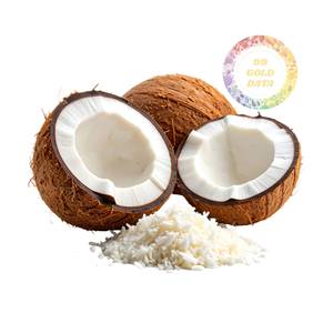 Vente directe usine : Pulpe de noix de coco congelée en cubes, normes HACCP et ISO pour le marché alimentaire britannique, vente en gros à bas prix et de qualité. - Product Image 5