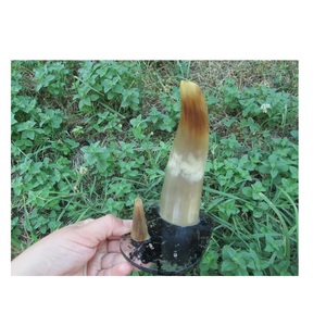 แตรตกแต่งรูปควายและเครื่องใช้บนโต๊ะอาหารสำหรับตกแต่งบ้านฮอร์นโบราณ - Product Image 1