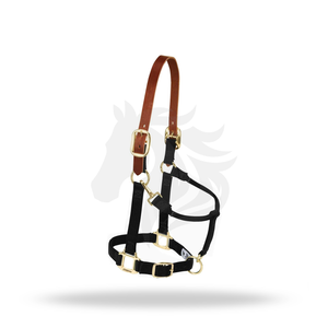 Nylon Horse <b>Halter</b> with Leather Crown Brass Hardware Adjustable Headcollar with Snap Hook - Product Image 1