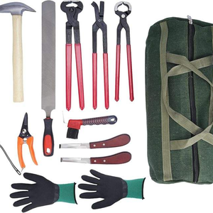 Precio al por mayor, la mejor calidad, RAICES ENTERPRISES, kit de herramientas de herrador para el cuidado y recorte de pezuñas de caballos, bajo MOQ, el más vendido, acero inoxidable - Product Image 1
