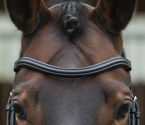 Frontal en cuir uni pour cheval avec couleur et taille personnalisables – Pièce de bride durable pour usage équestre - Product Image 1