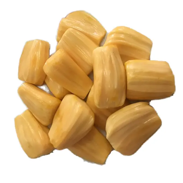 Frozen Jackfruit from Vietnam - Seeds or Seedless - Frozen Fruit wholesaler