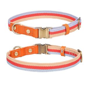 Collar de Perro Personalizado de Alta Calidad 2026 con Hebilla Metálica Ajustable y Correa de Microfibra, Modelo II-DC-015 de Imra Impex/OEM - Product Image 3