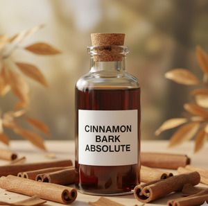 Proveedor de Aceite Absoluto de Canela a Granel, Extracto de Canela Puro y Natural para Cosméticos, Aromaterapia y Perfumería - Product Image 1