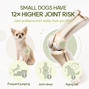 Suplemento Premium Todo en Uno para Articulaciones de Perros y Gatos en Polvo, MSM de Grado Humano, Cuidado de la Piel e Inmunidad, Antiinflamatorio, para Todas las Razas y Todas las Etapas de Vida - Product Image 3