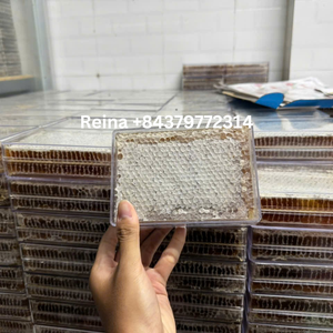 Miel de panal orgánico de calidad de exportación directa de granjas de miel de Vietnam a precios competitivos para compradores al por mayor - Product Image 2