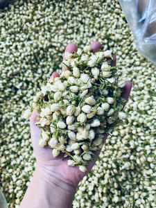 Fleurs de jasmin séchées de qualité supérieure, ingrédients botaniques naturels pour les produits de bain floraux, les formulations de beauté et les acheteurs en gros - Product Image 4