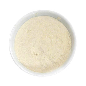 High Purity Private Label White Onion Powder Food Grade Fine <b>Mesh</b> Premium Quality Onion Powder Bulk Export Quality - Product Image 2