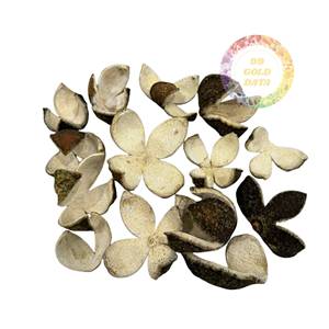 Bulk Wholesale Dried Citrus Peel Sliced & Whole Aged 5 Years No Sulfur Premium <b>Quality</b> Chenpi Export - Product Image 1
