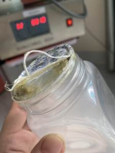 Forro de inducción con lengüeta de medio tirón impreso personalizado, a prueba de fugas, seguro para alimentos, fácil de abrir, sello para cierre de botella, tapas de botella hechas en Vietnam - Product Image 2