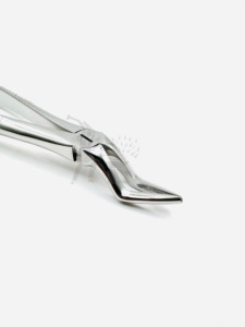 Pinzas de Extracción Dental Fig. 51 para Molares Superiores, Herramienta Quirúrgica con Empuñadura Moleteada Plateada, Clase I, Manual - Product Image 2
