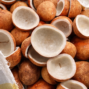 COPRA DE COCO DE CALIDAD DE EXPORTACIÓN DE VIETNAM - PRECIO COMPETITIVO/ SRA. ALINA - Product Image 6