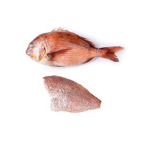 Approvisionnement en dorade rouge congelée pour les importateurs et les commerçants - Product Image 1