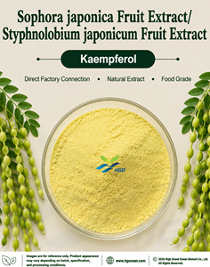Suministro directo de fábrica HGO de extracto de fruta de Sophora japonica natural puro/extracto de fruta de Styphnolobium japonicum Kaempferol 98% - Product Image 1