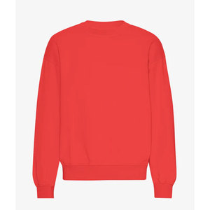 เสื้อสเวตเชิ้ตคอกลมสีแดงปักลายสำหรับทุกเพศทรงปกติผ้าถักสีพื้นลำลองแขนยาว - Product Image 6