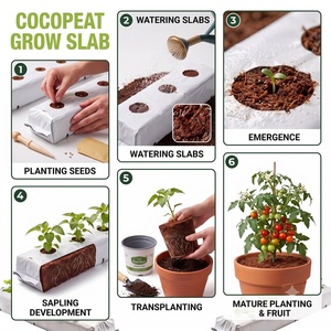 Plaques de culture hydroponiques en cocofibres pour l'agriculture en serre commerciale, les cultures maraîchères, les fraises et la production de plantes de pépinière - Product Image 3