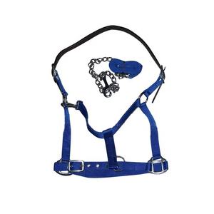 Licol en nylon pour cheval - Product Image 1