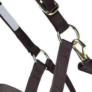 Harnais pour cheval en nylon de qualité supérieure avec détails cousus et boucle carrée en laiton, vente en gros, équipement d'équitation en nylon personnalisé - Product Image 2