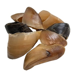 Hornillos de Cuerno Natural Hechos a Mano: Material Crudo Asequible para Joyería Artesanal DIY y Producción de Artículos Decorativos a Precios Accesibles - Product Image 3
